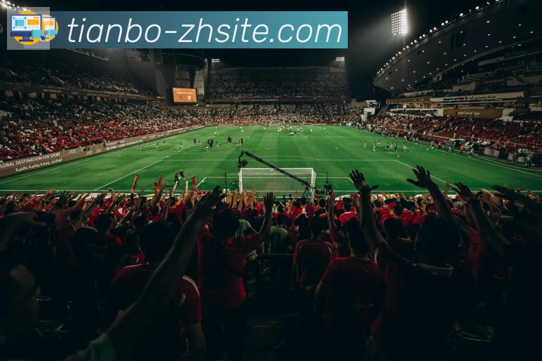 天博官网平台生态图