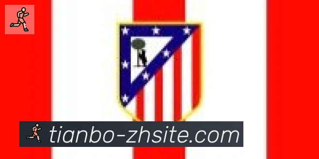 天博官网合作伙伴